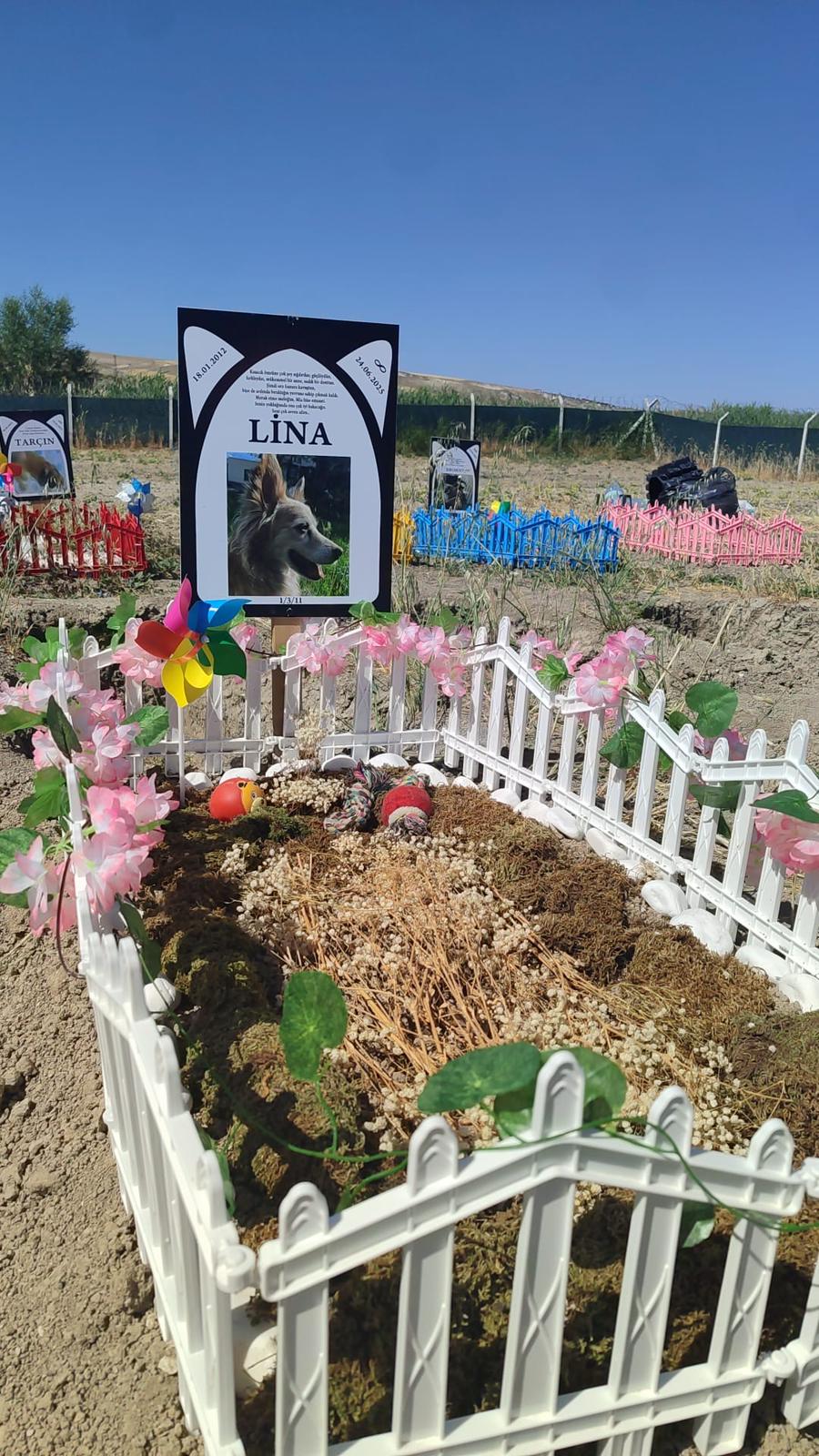 Ankara evcil hayvan mezarlığı