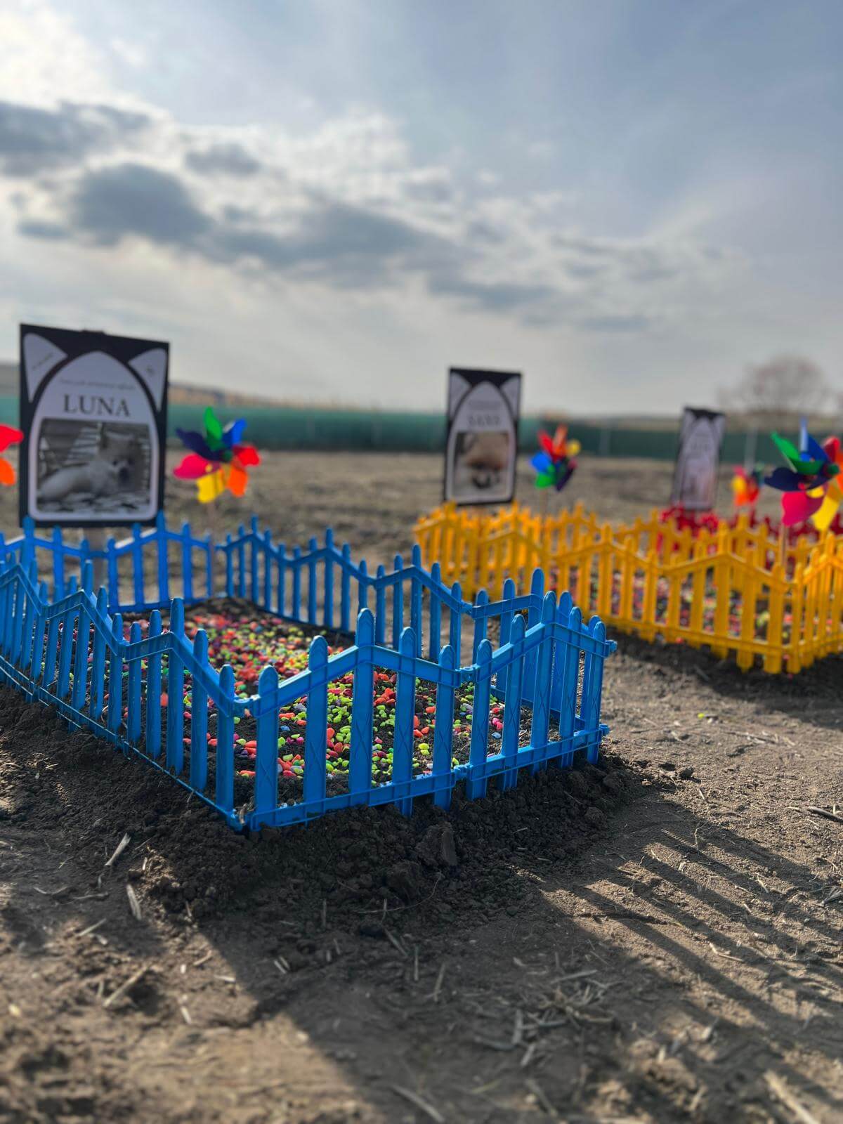 Yan yana renkli dekore edilmiş iki evcil hayvan mezarı