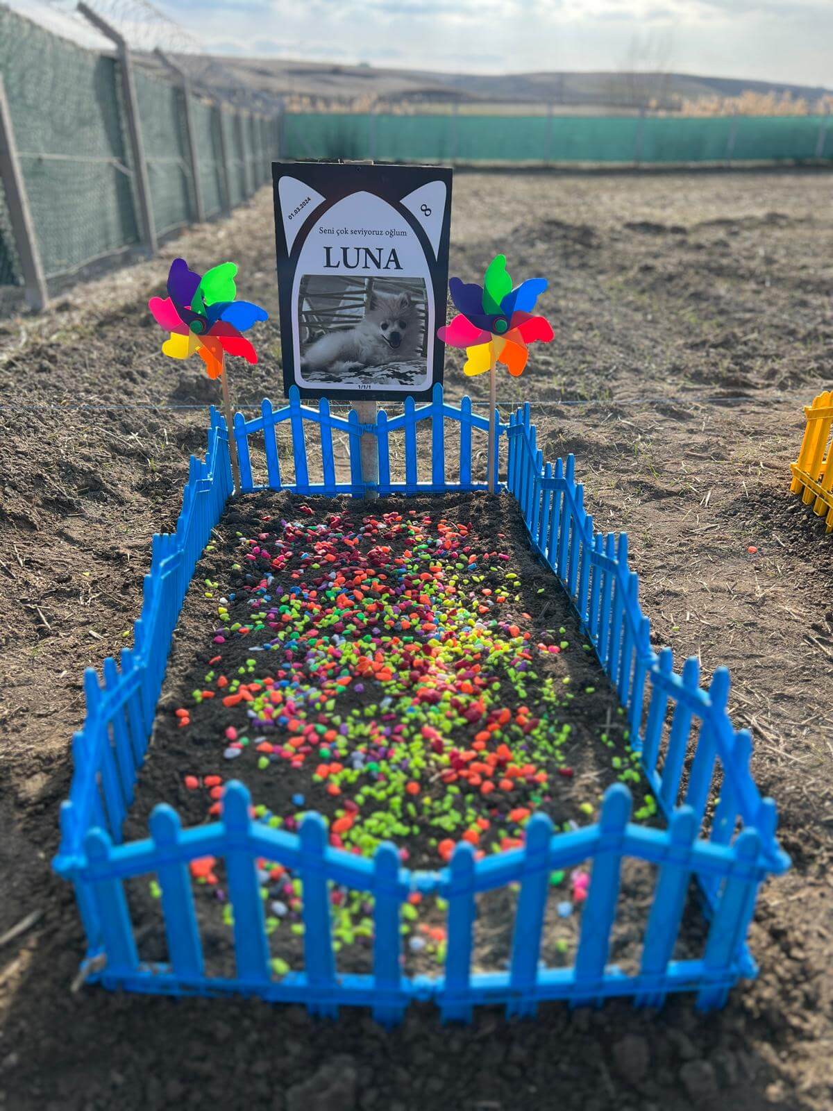 Luna isimli köpeğin mezarlığı