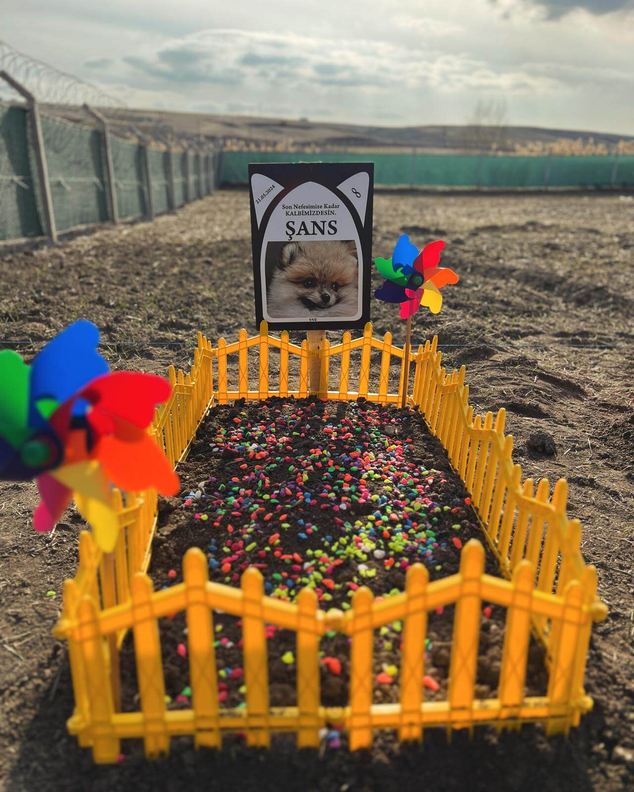 Şans isimli köpeğin mezarlığı