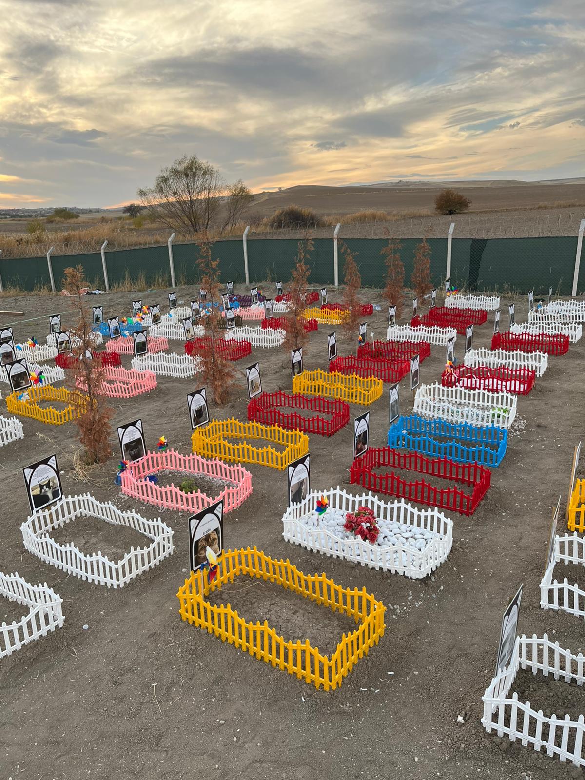 Ankara evcil hayvan mezarlığı