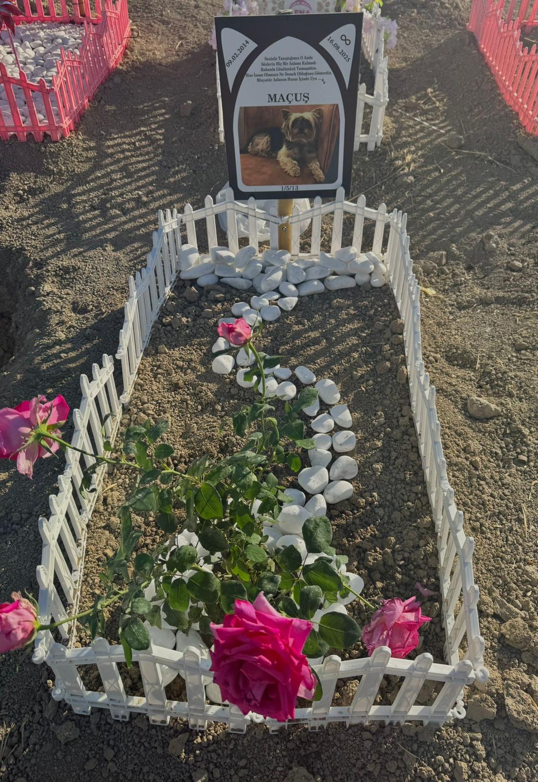 Ankara evcil hayvan mezarlığı